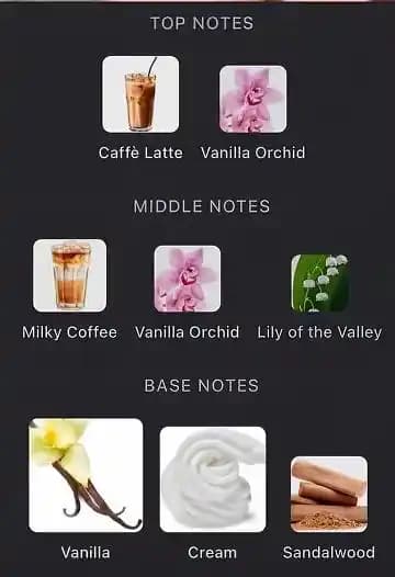 Vanilla Lace ve Kahve Kokulu Parfümler: Orijinal ve Alternatif Koku İncelemesi
