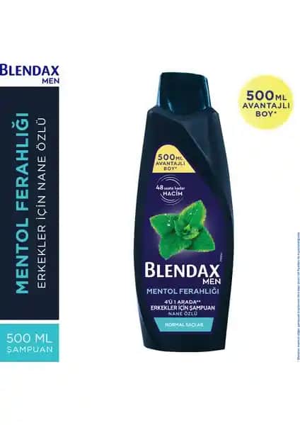 Blendax Erkekler İçin Mentol Ferahlığı Nane Özlü Şampuanı: Kepek ve Saç Güçlendirme Özellikleri