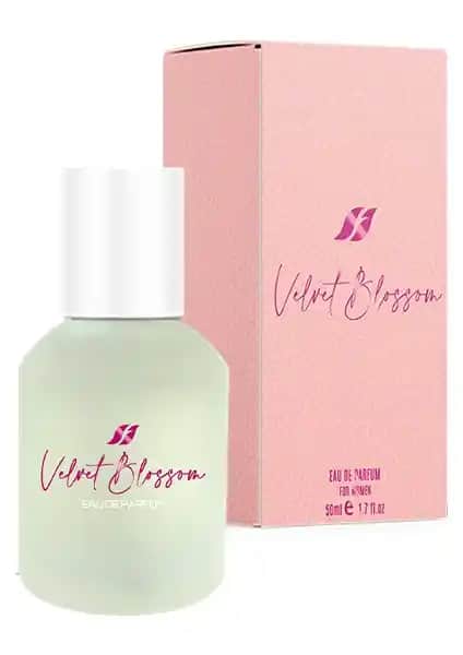 Farmasi Velvet Blossom Kadın Parfümü: Odunsu, Çiçeksi ve Kalıcı Aromasıyla Zarif Bir Seçenek