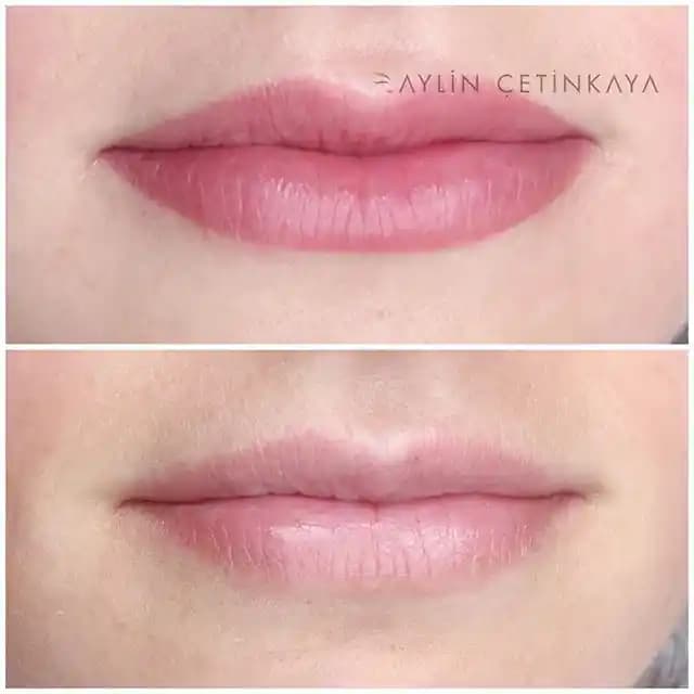 Soğuk Alt Tonlu Açık Tenliler İçin Günlük Dudak Renkleri ve Uygun Ürün Önerileri