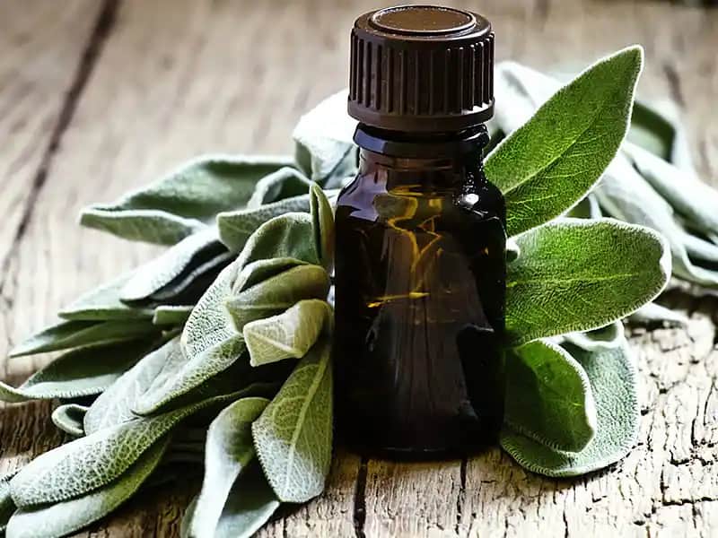 Adaçayı Yağı ve Saç Sağlığı: Doğal Çözümlerle Güçlü ve Parlak Saçlar