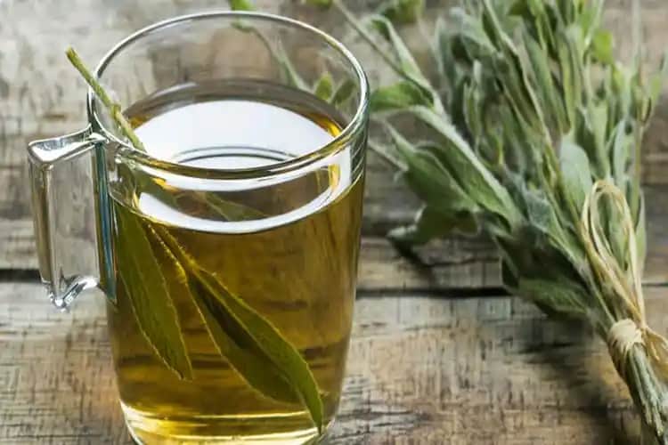 Adaçayının Regl Ağrılarına Etkisi ve Kozmetik Kullanımı Üzerine Detaylı İnceleme