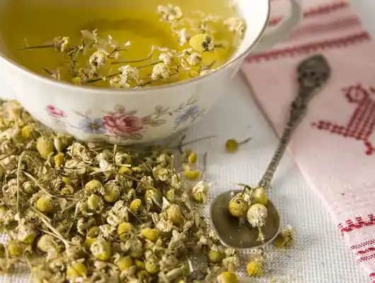 Adet Düzensizliği ve Regl Düzenlemek İçin Doğal Çaylar Hakkında Bilmeniz Gerekenler