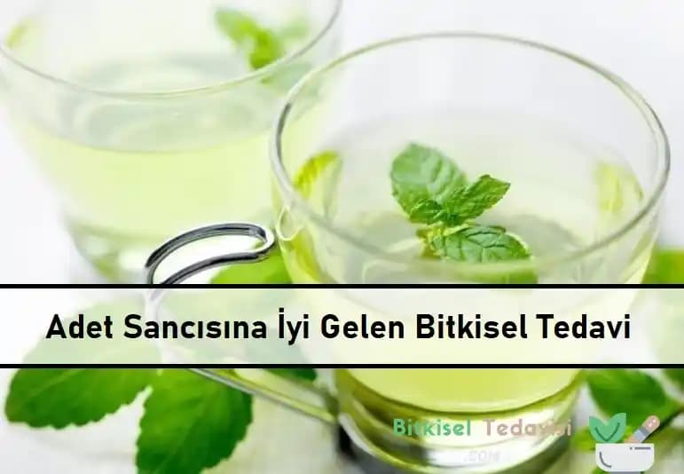 Adet Sancısına İyi Gelen Bitkiler ve Doğal Tedavi Yöntemleri Rehberi