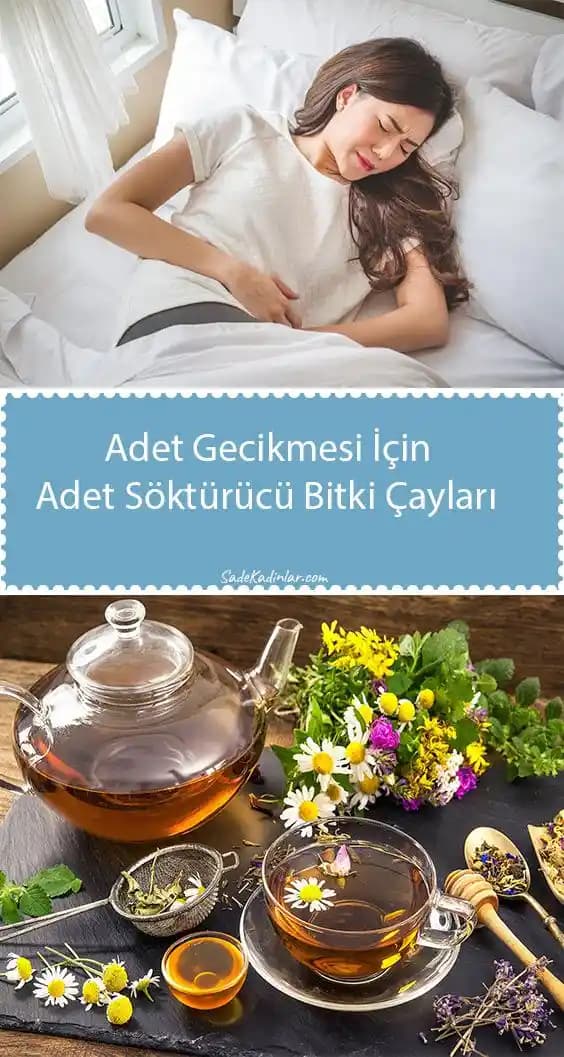 Adet Söktürücü Çayların Sağlık ve Güzellik Üzerindeki Rolü ve Kullanım Yöntemleri