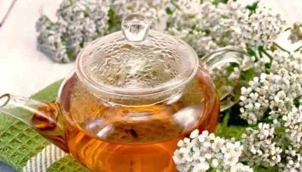 Adet ve Kozmetik Dünyasında Güncel Yaklaşımlar Kadın Sağlığı ve Doğal Çözümler