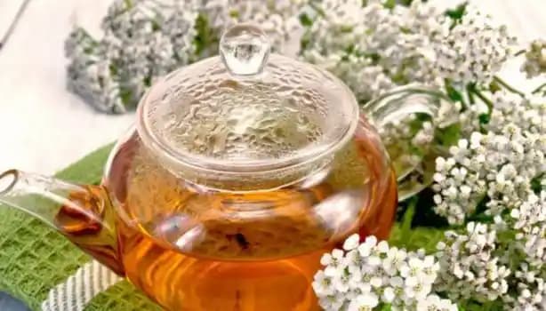 Adet ve Kozmetik Dünyasında Güncel Yaklaşımlar Kadın Sağlığı ve Doğal Çözümler