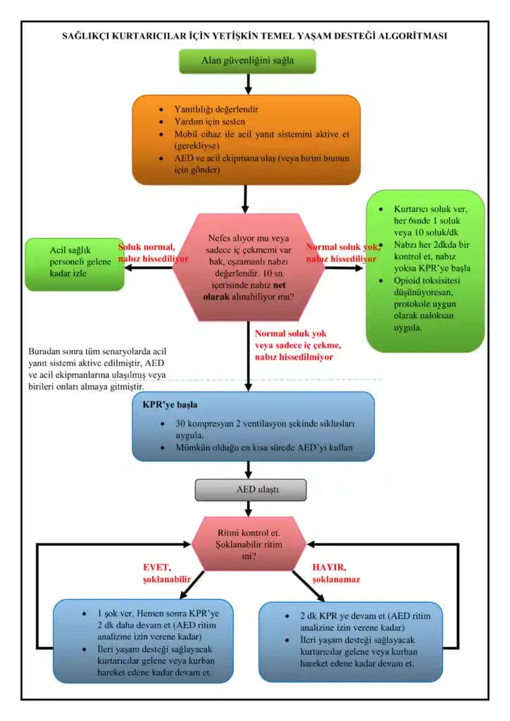 AHA Uygulaması ve Kozmetik Sektöründeki Yeri: Güçlü Bir Cilt Bakım Aracı