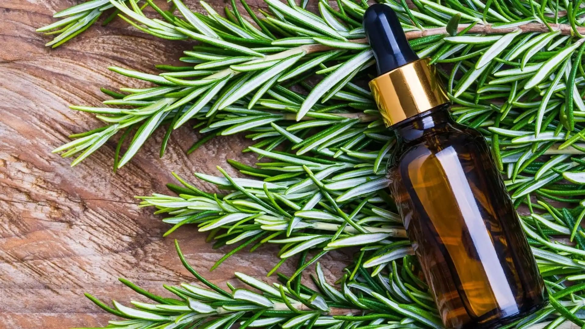 Bebek Yağı Saça Uygun mu Doğru Kullanım ve Uzman Tavsiyeleri