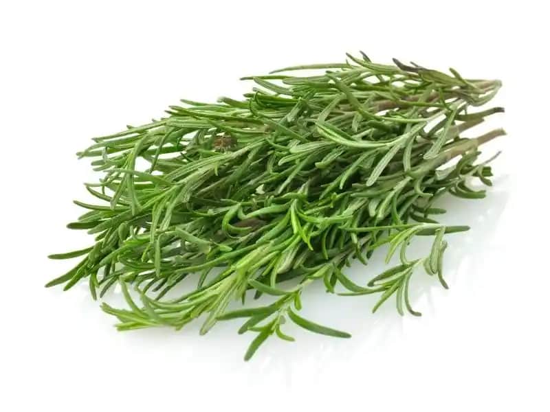 Biberiye ile Doğal Güzellik ve Bakım: Cilt ve Saç Sağlığını Destekleyen Bitki