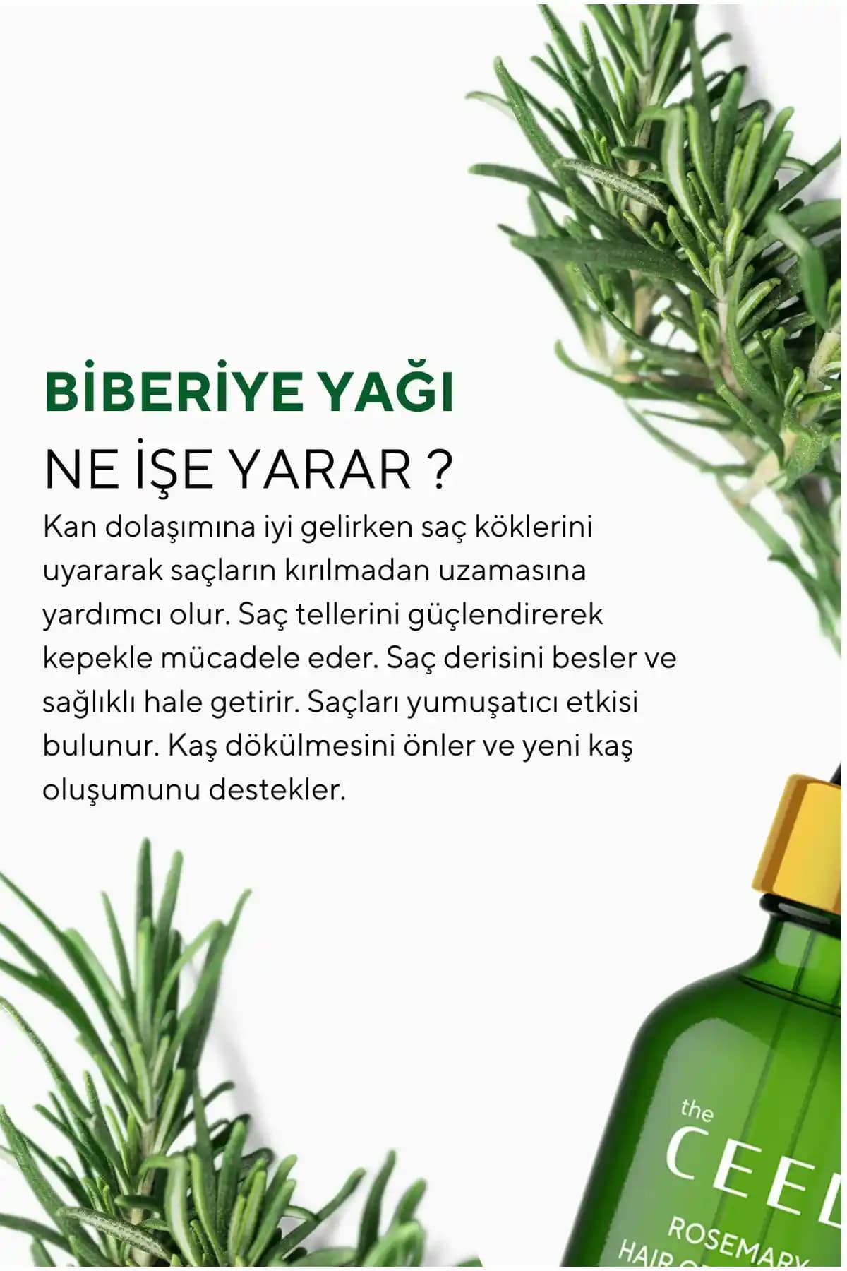 Biberiye Yağı ile Saç Sağlığını Destekleme Yöntemleri ve Doğal Bakım İpuçları