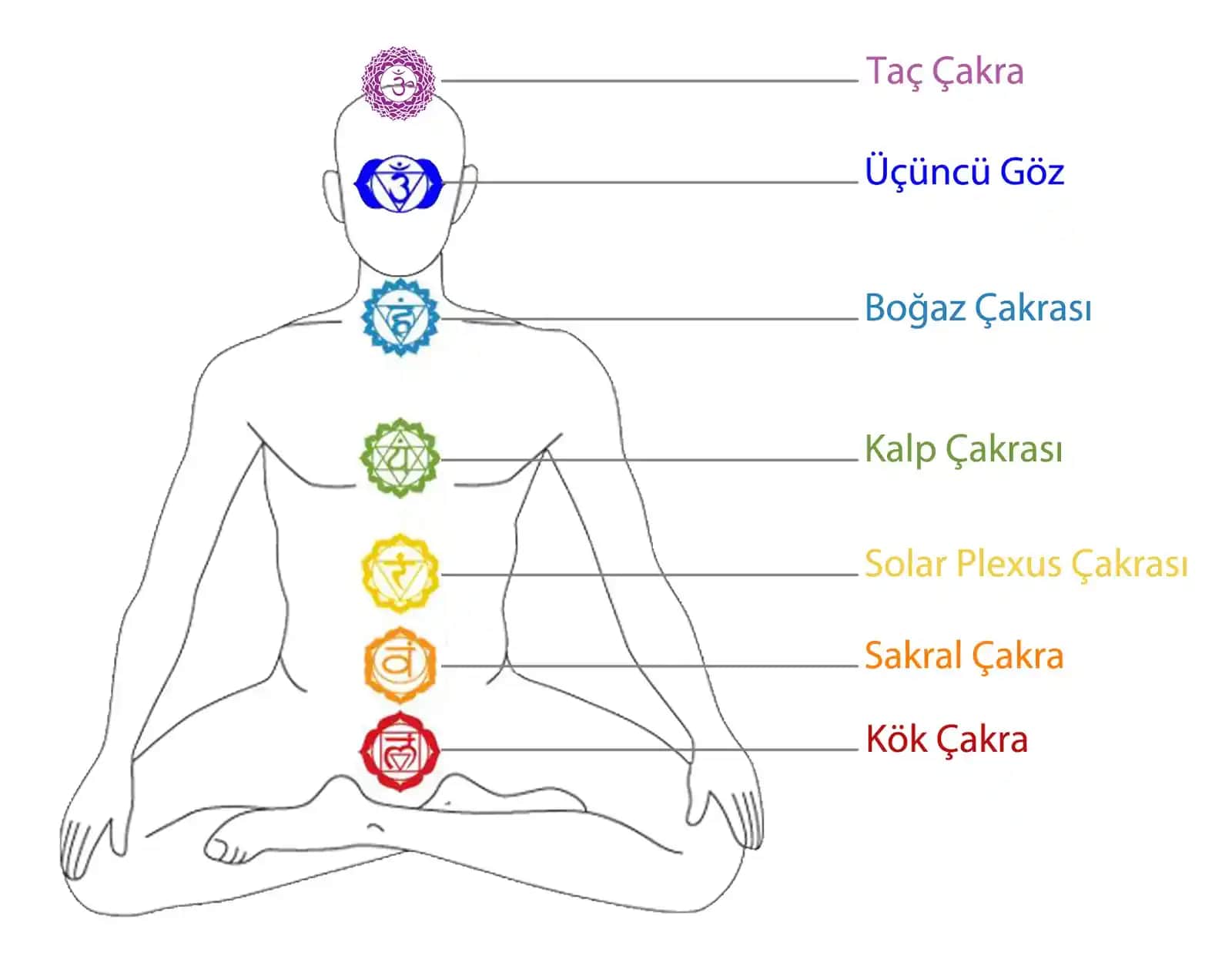 Çakralar ve Güzellik: İçsel Dengenin Kozmetik Dünyasındaki Yansımaları