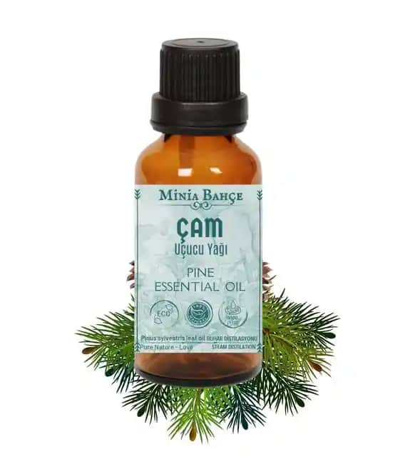 Çam Ağacı Yağı: Kozmetik ve Güzellik İçin Doğal Çözüm ve Kullanım Alanları