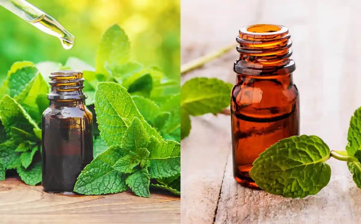 Cildi Sıkılaştıran Vitaminler ve Doğru Kullanım Yöntemleri Hakkında Bilgiler