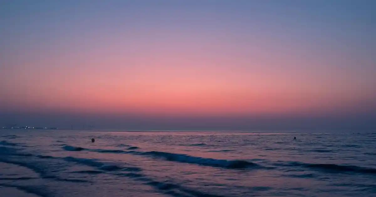 Çocuklar İçin Şarjlı Diş Fırçası Seçenekleri ve Sağlıklı Gülüşler İçin İpuçları