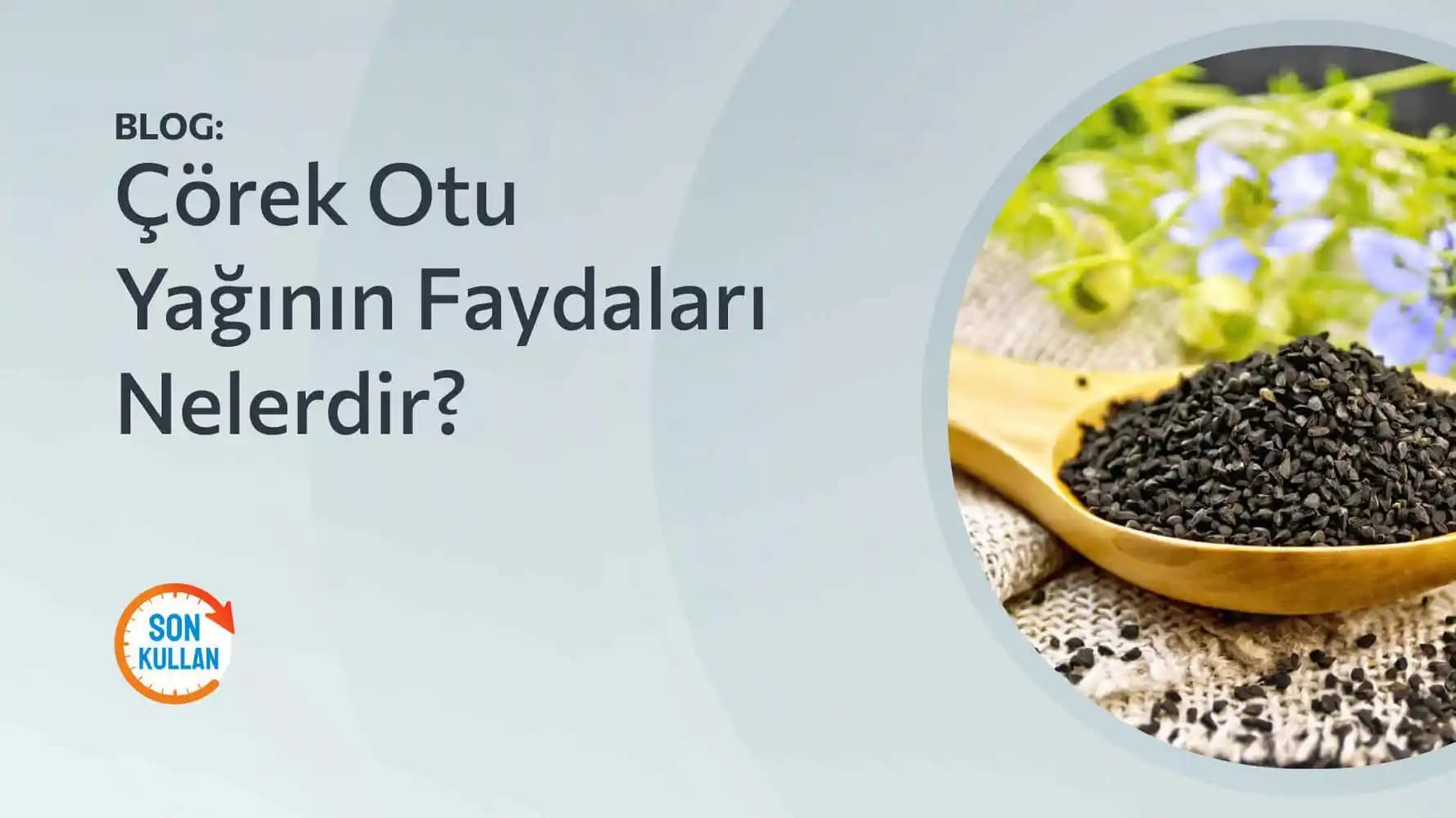 Çörekotu: Sağlık ve Güzellik İçin Doğal Bir Mucize Faydaları ve Kullanım İpuçları