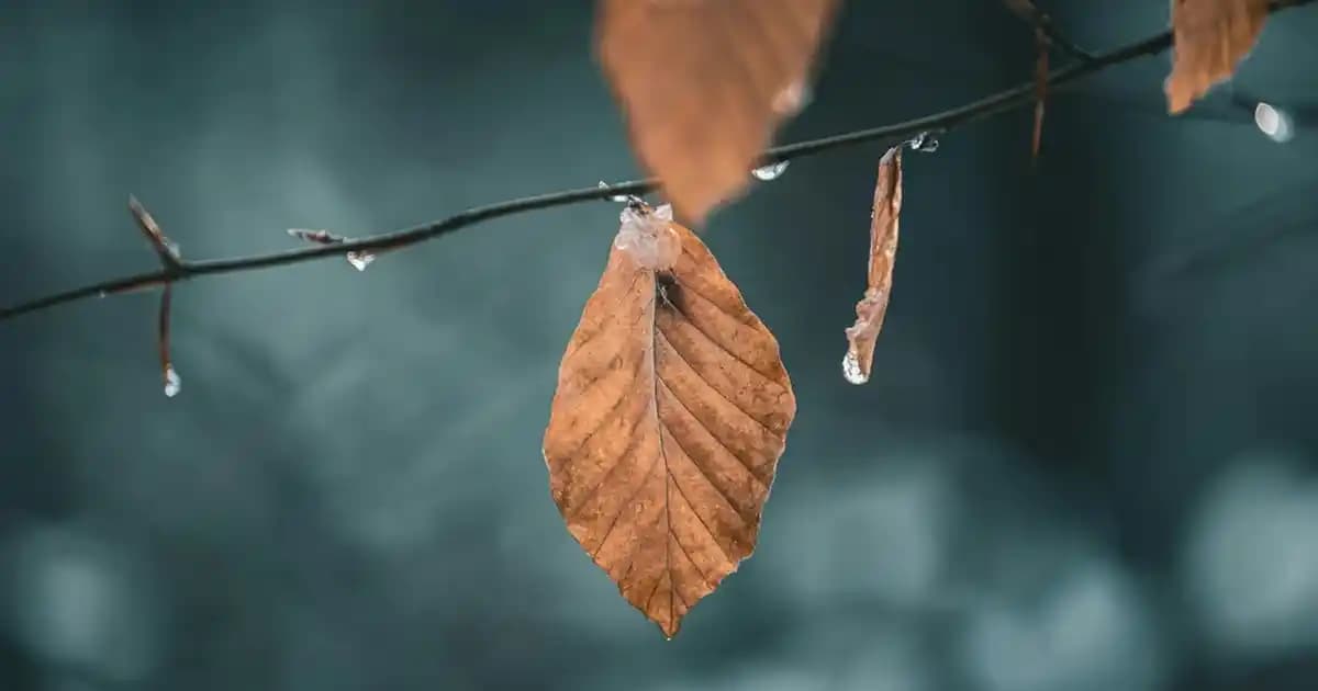 D vitamini eksikliği ve kozmetik sektöründeki kullanımı hakkında kapsamlı bilgi