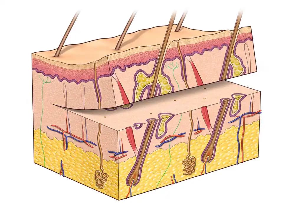 Deri Grefti İzleri Nasıl Geçer Uzman Tavsiyeleri ve Etkili Yöntemler