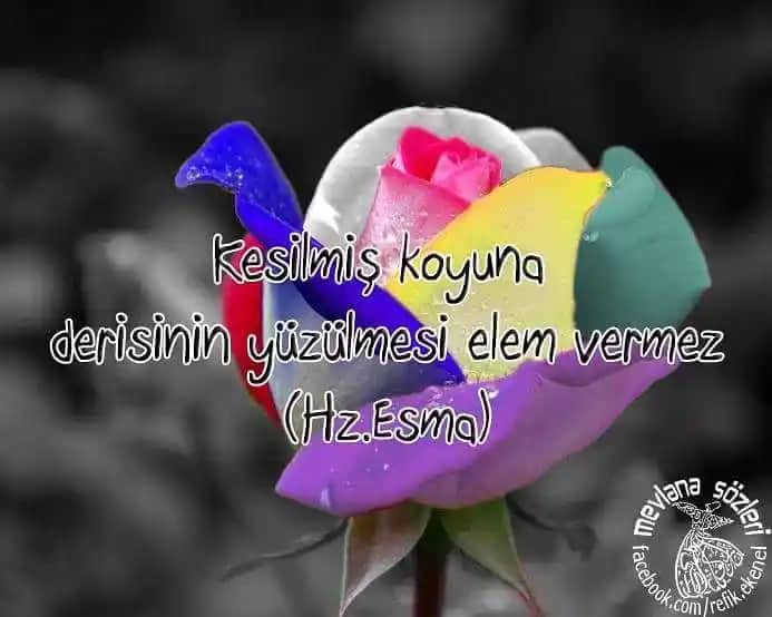 Deri Yüzülmesi Nedir, Nasıl Yapılır ve Cilt Sağlığına Etkileri Nelerdir