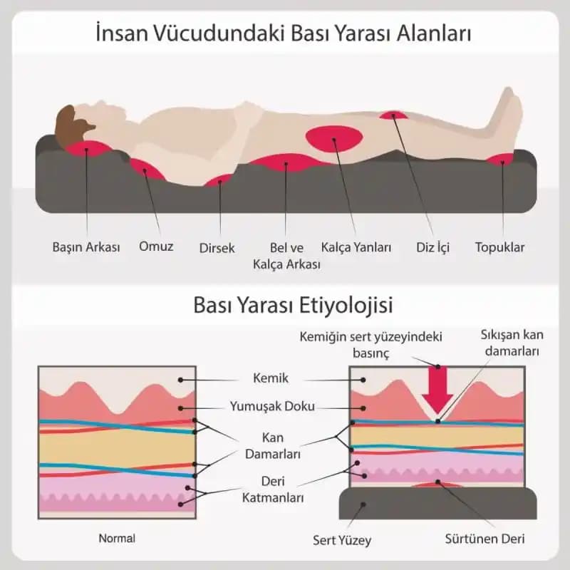 Derma Yaraları ve Kozmetikteki Rolü: Sağlıklı ve Güçlü Bir Cilt İçin Bilinçli Yaklaşımlar