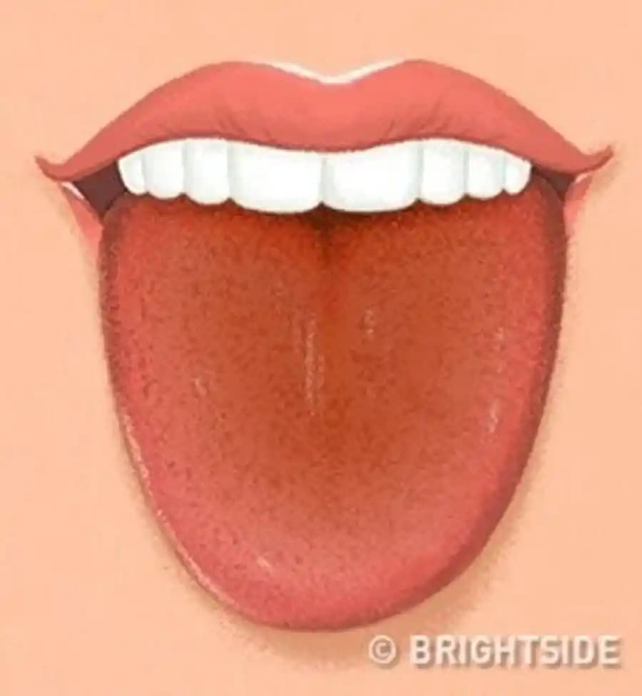 Dudaklarda Kahverengi Pas Sorunu ve Etkili Bakım Yöntemleri