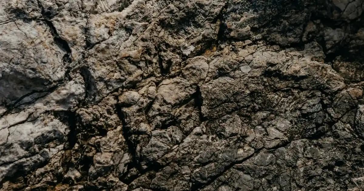 Dünyanın En Pahalı Parfümleri ve Lüksün Zirvesine Yolculuk