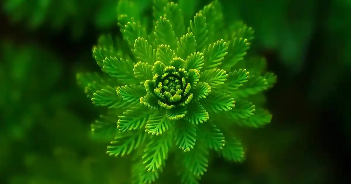 Eklem Ağrılarına Karşı Tip II Kolajen ve Doğru Kullanım Yöntemleri