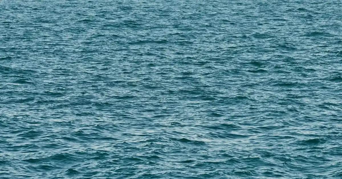 Elidor Beyaz Şampuan ile Saçlarınızı Doğal ve Güçlü Tutmanın Yolları