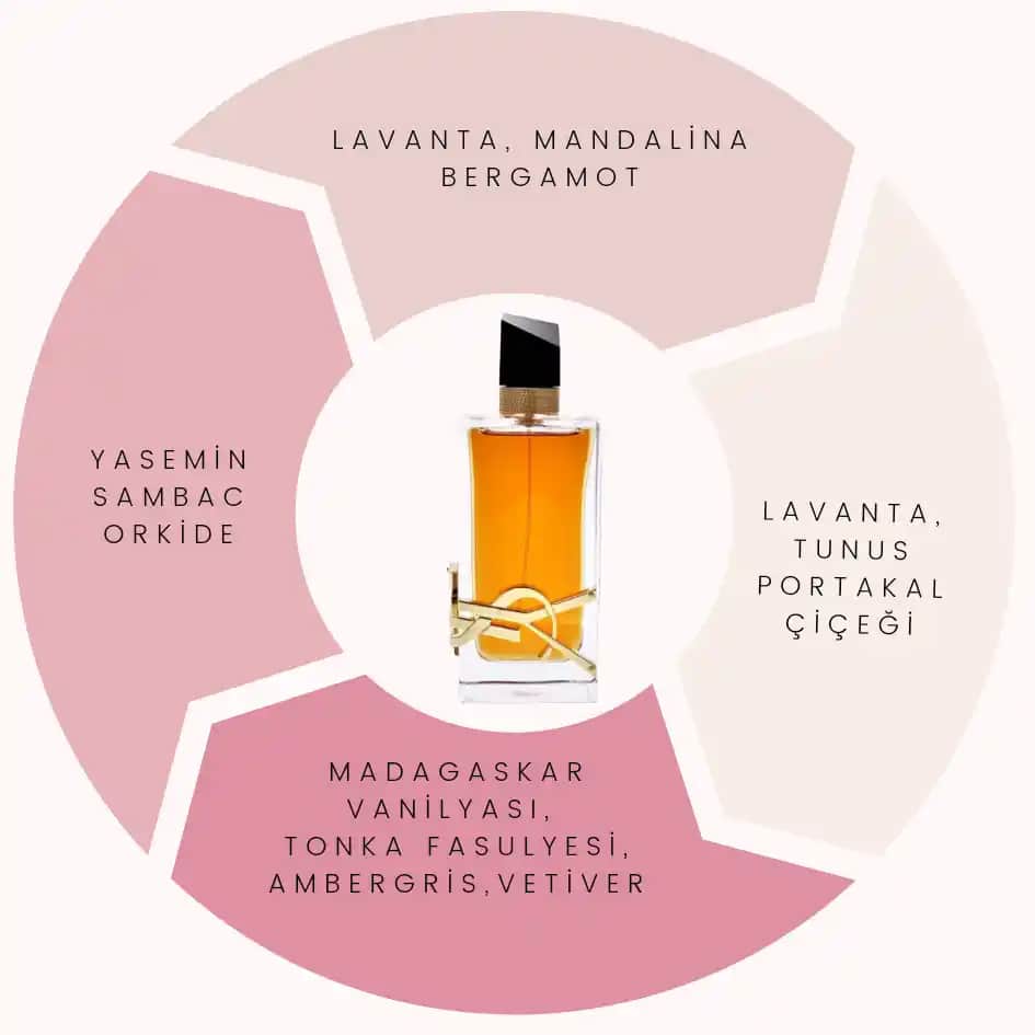 En Popüler Parfümler ve Kişisel Tarzınıza Uygun Kokuların Seçimi Rehberi