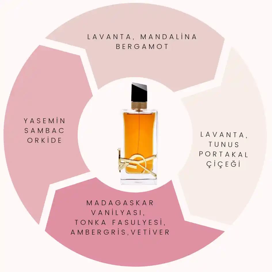 En Popüler Parfümler ve Kişisel Tarzınıza Uygun Kokuların Seçimi Rehberi