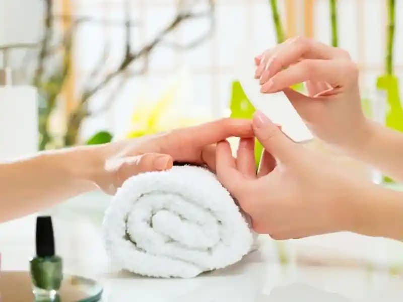 Evde El Bakımı Rehberi: Temizlik, Nemlendirme ve Koruma Yöntemleri