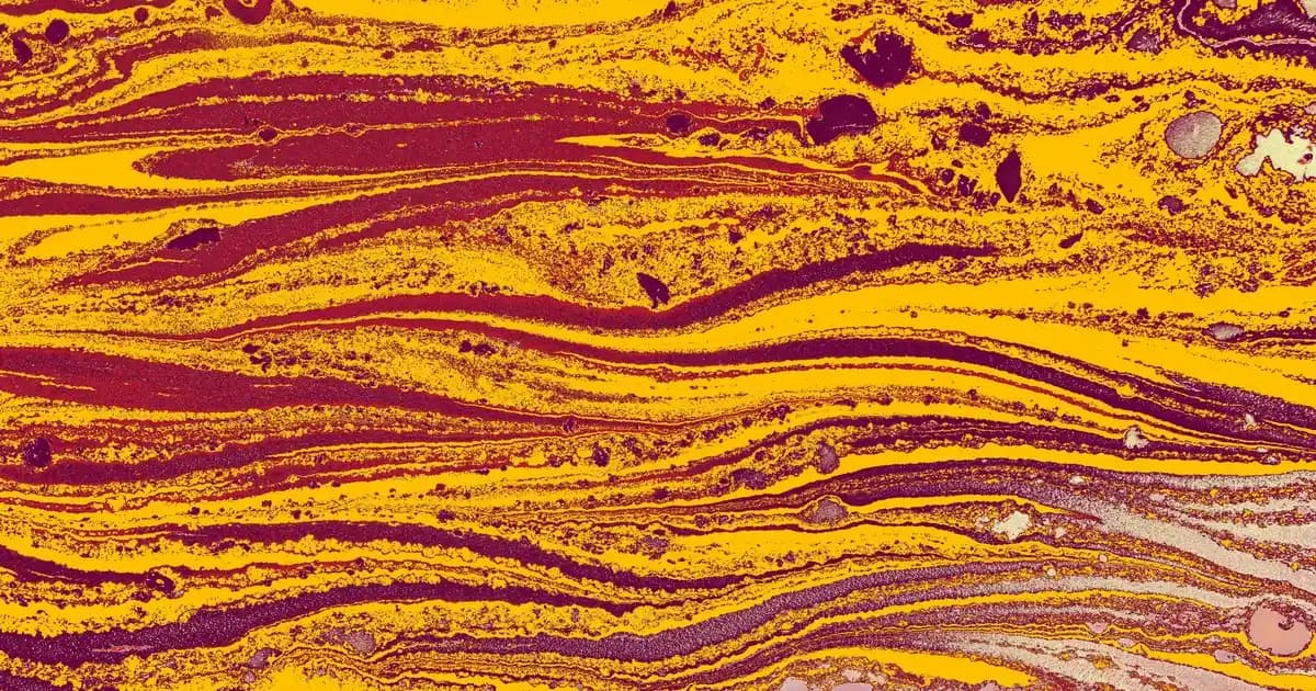 Givenchy’nin Very Irresistible Parfümü: Çekicilik ve Şıklığın Simgesi