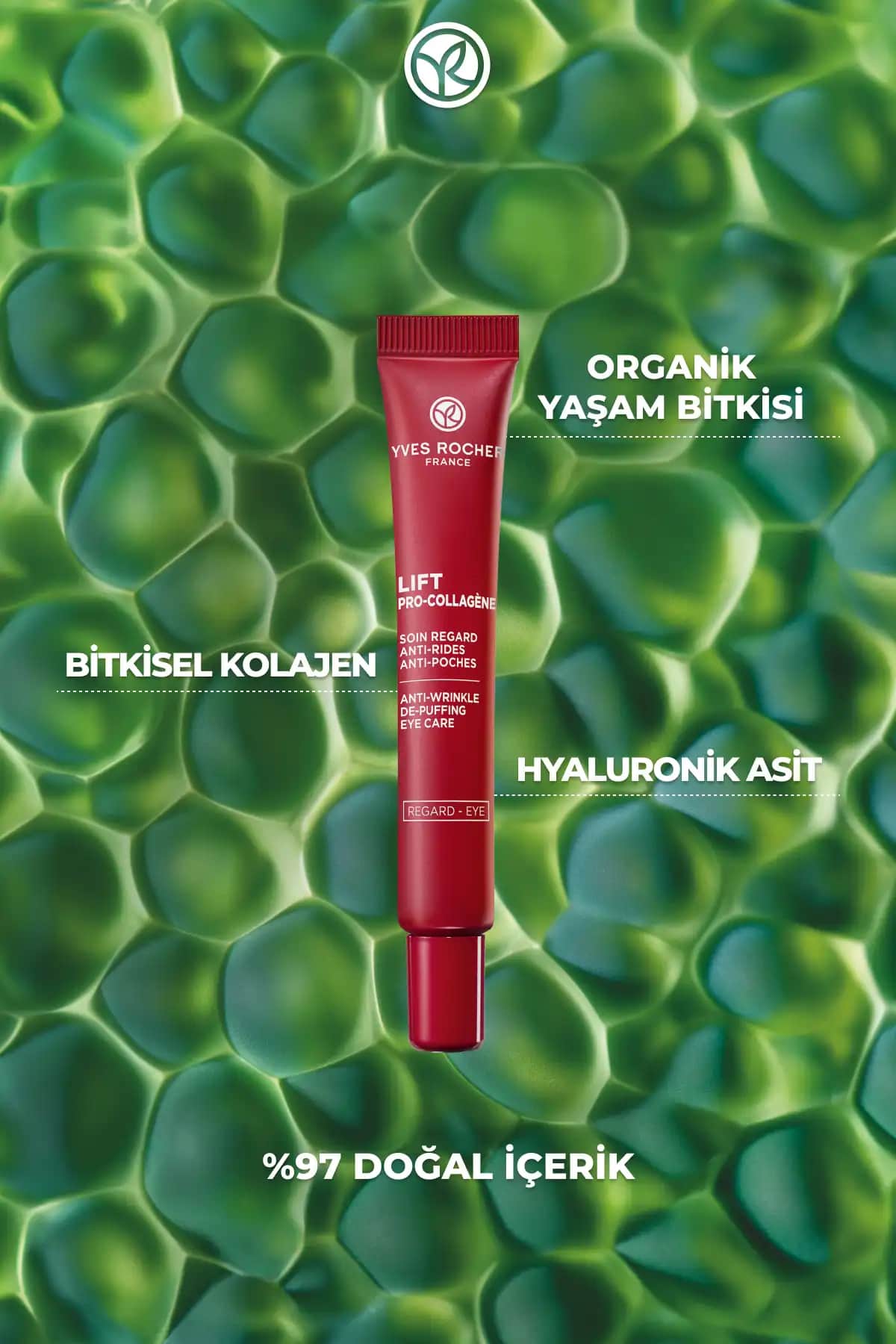 Göz Kapağı Sıkılaştırıcı Doğal Yöntemler ve Bitkisel Çözümler Rehberi