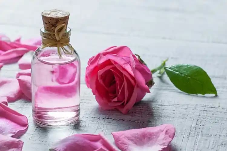 Gül Mayası ve Gül Suyu: Doğal Güzellik İçin En Etkili Cilt Bakım Ürünleri