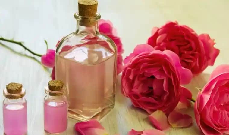 Gül Mayasının Yüze Faydaları ve Doğal Güzellik Sırları Hakkında Bilmeniz Gerekenler