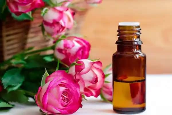 Gül Yağı ve Cilt Sağlığı: Doğal Güzelliğin Sırları ve Faydaları Hakkında Detaylı Bilgi