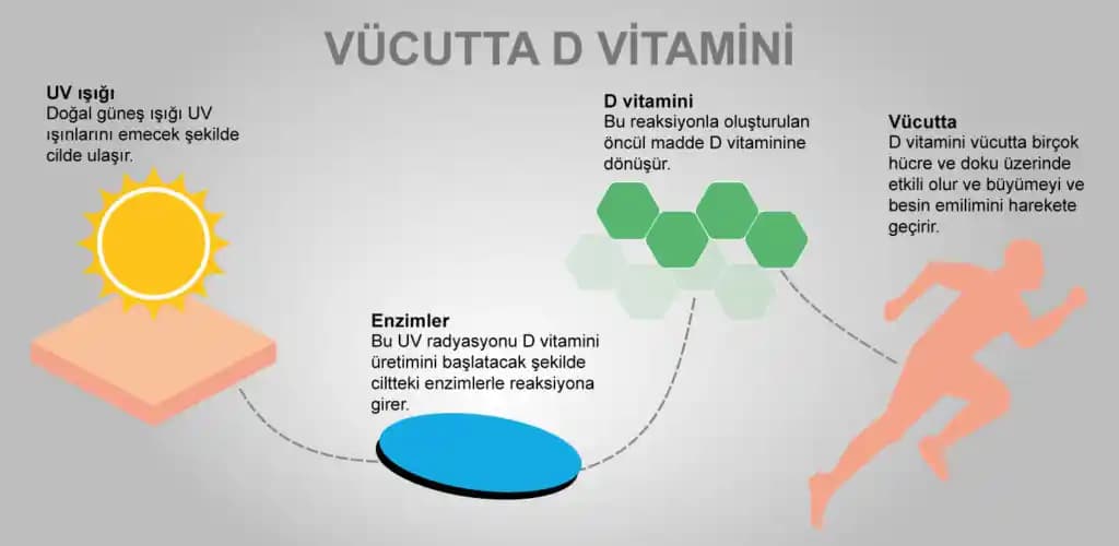 Güneş D Vitamini ve Kozmetik: Cilt Sağlığında Yeni Trendler ve Bilinçli Kullanım