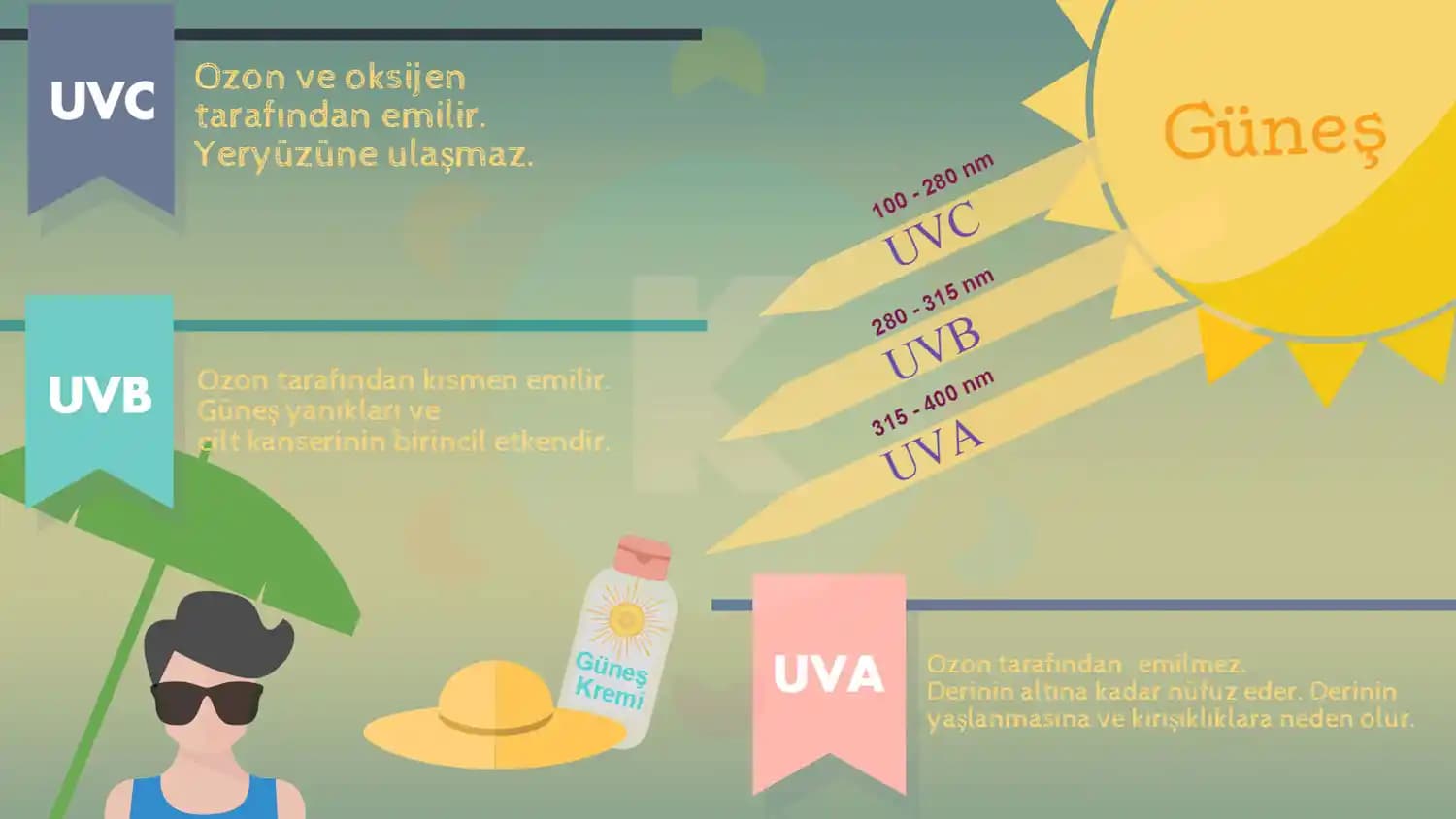 Güneş UV Işınlarının Cilt Sağlığı ve Kozmetik Ürünlerindeki Yeri Analizi