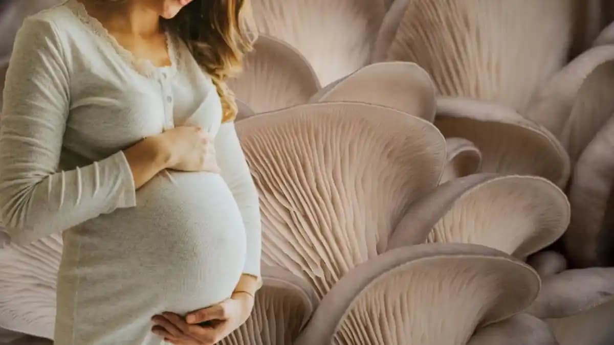 Hamilelikte Yüze Maske Yapmanın Güvenliği ve Doğru Cilt Bakım Yöntemleri