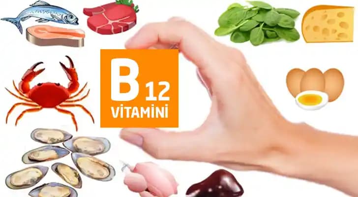 Hangi B12 Vitamini Daha İyi Doğru Takviye Seçimi İçin Kapsamlı Rehber