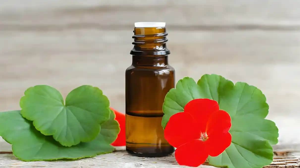 Itır Yağı ve Kozmetik Dünyasındaki Yeri: Doğal Güzellik İncisi