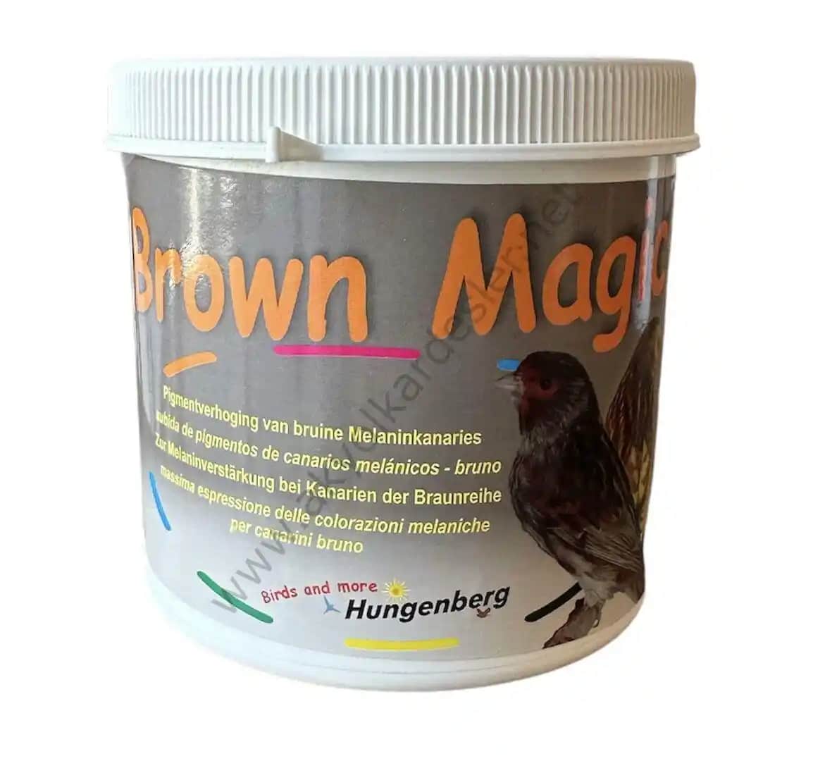 Kahverengi Boya ve Saç Renkleri: Doğallık ve Şıklığın En Popüler Seçeneği