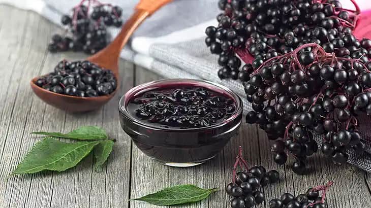 Kara Mürverin Cilt Sağlığına Faydaları ve Doğal Güzellik İçin Kullanım İpuçları