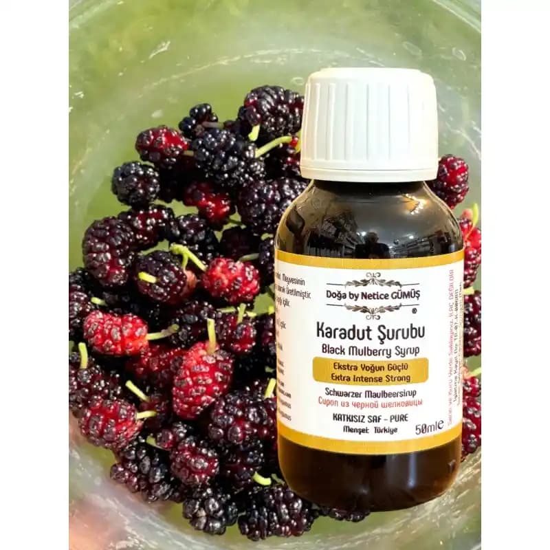 Karadut Özünün Ağız Yarası Üzerindeki Potansiyel Etkileri ve Doğal Tedavi Yöntemleri