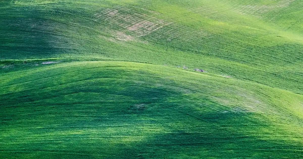 Kararma Giderici Kremler ve Doğru Cilt Bakım Yöntemleri Hakkında Bilgilendirici Rehber