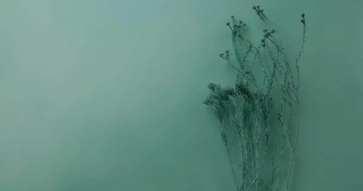 Karma Ciltler İçin Yağ Bazlı Temizleyiciler: Doğru Seçim ve Kullanım İpuçları