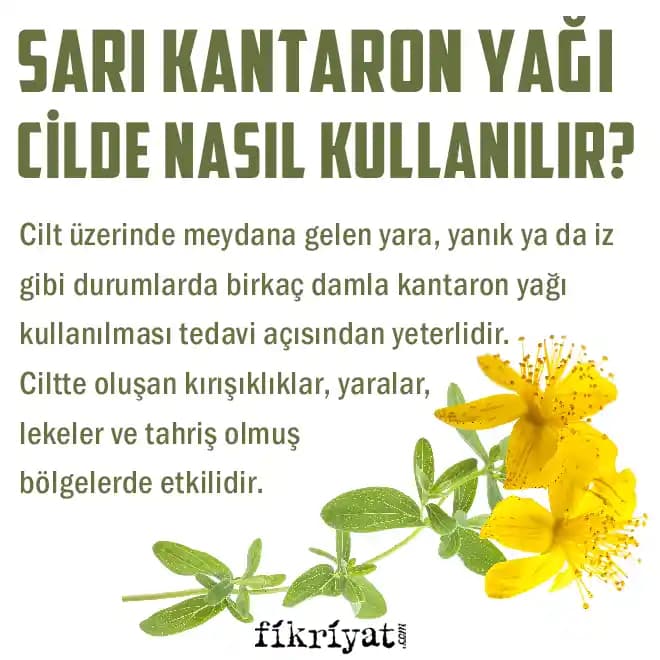 Katran Yağı: Doğal Güzellik ve Cilt Bakımında Güçlü Bir Mucize