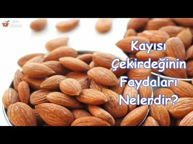 Kayısı Çekirdeğinin Kozmetikteki Yeri ve Faydaları: Doğal Güzellik İçin Etkili Kullanımlar