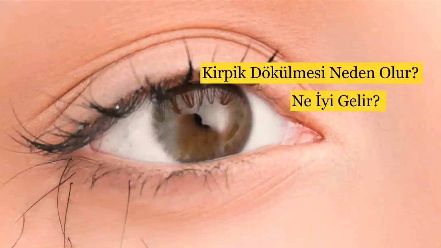 Kirpik Dökülmesine Karşı Doğal ve Etkili Çözüm Yöntemleri ve Bakım Tavsiyeleri