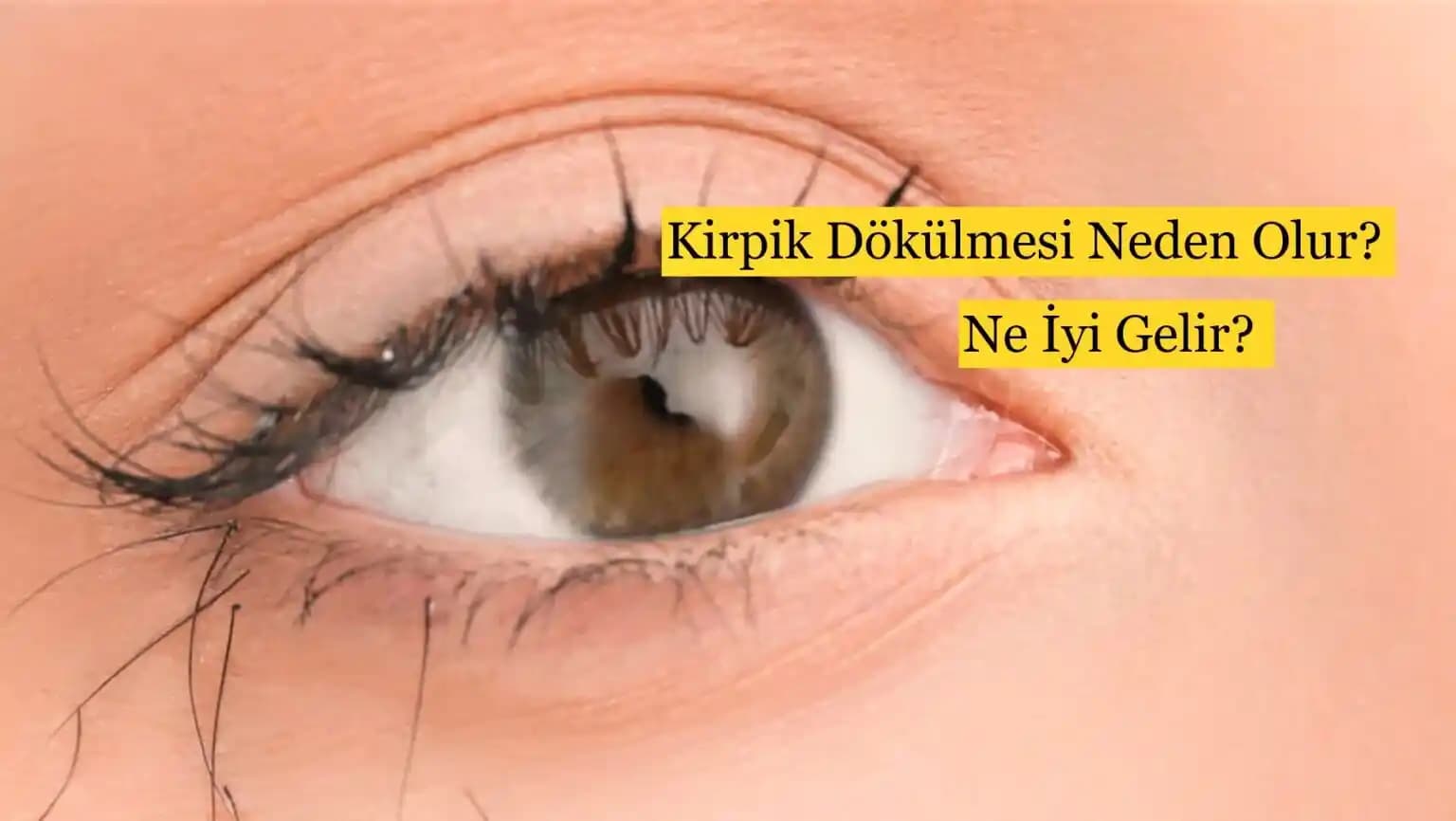 Kirpik Dökülmesine Karşı Doğal ve Etkili Çözüm Yöntemleri ve Bakım Tavsiyeleri